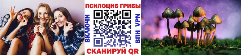Галлюциногенные грибы прущие грибы закладки MEGA tor Ардатов