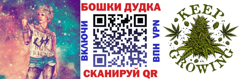 Бошки Шишки семена Ардатов